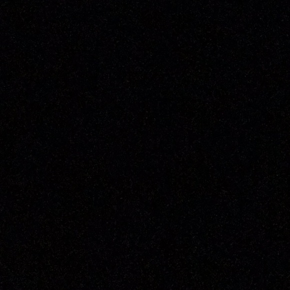 Meet your Posher, Bella - Picture 1 of 1